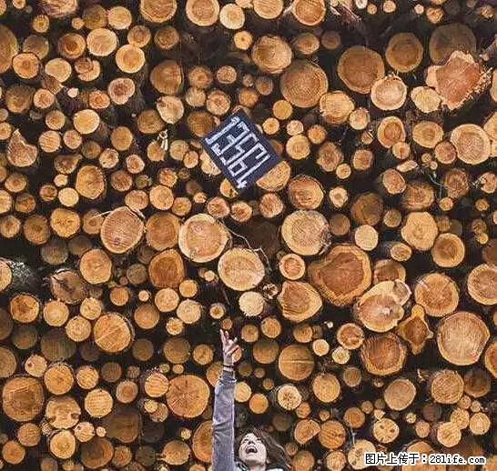 辞掉工作周游世界？现在他们在洗厕所…… - 游山玩水 - 苏州生活社区 - 苏州28生活网 su.28life.com