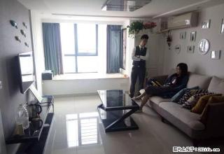 青剑湖 金沙广场 星湖都市生活广场 装修豪华 随时看房 - 苏州28生活网 su.28life.com