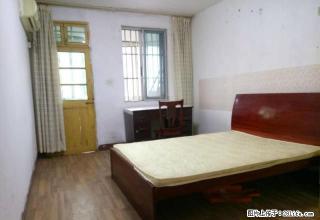 (单间出租)没中芥费 里河新村朝南主卧 近东环家乐福 杨枝新村 现代花园 - 苏州28生活网 su.28life.com