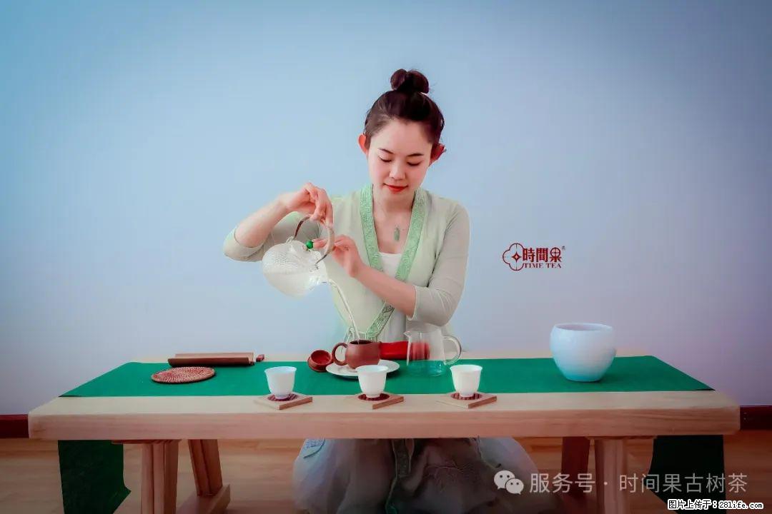 时间果百年古树龙珠普洱生茶 - 购物交流 - 苏州生活社区 - 苏州28生活网 su.28life.com