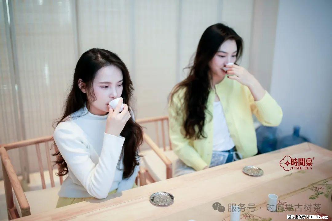 时间果百年古树龙珠普洱生茶 - 购物交流 - 苏州生活社区 - 苏州28生活网 su.28life.com