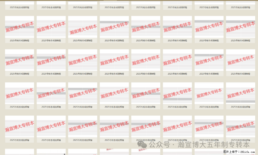 2025年江苏瀚宣博大五年制专转本：高分捷报！ - 综合信息 - 其他综合 - 苏州分类信息 - 苏州28生活网 su.28life.com