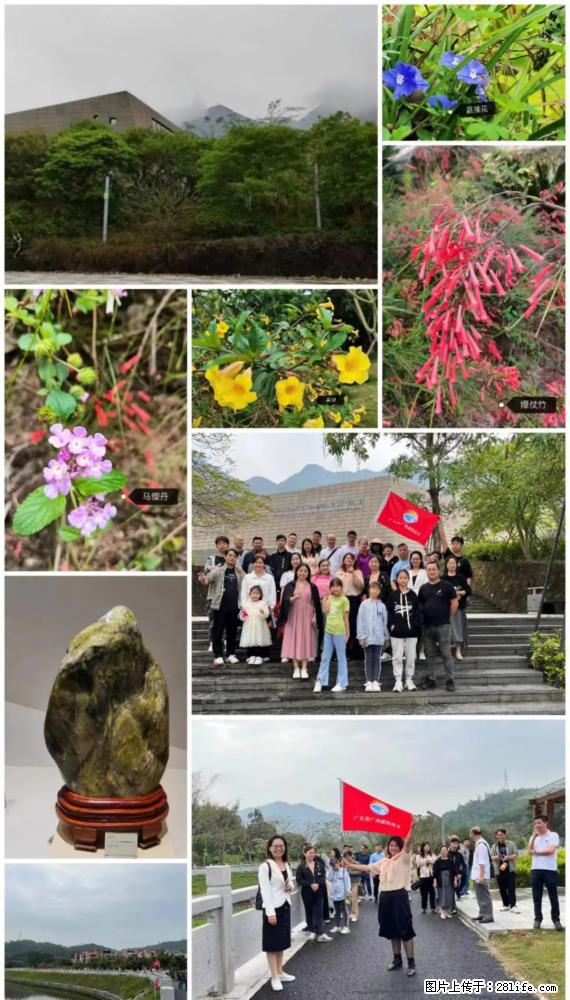 “粤灌文化 美好生活”油茶文化主题活动在广东深圳成功举办 - 苏州生活资讯 - 苏州28生活网 su.28life.com