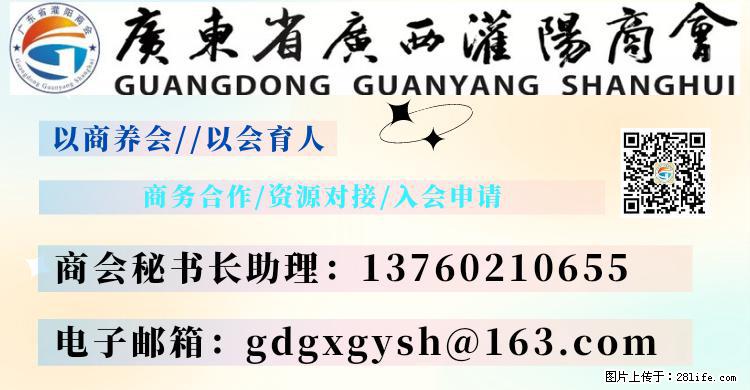 “粤灌文化 美好生活”油茶文化主题活动在广东深圳成功举办 - 苏州生活资讯 - 苏州28生活网 su.28life.com