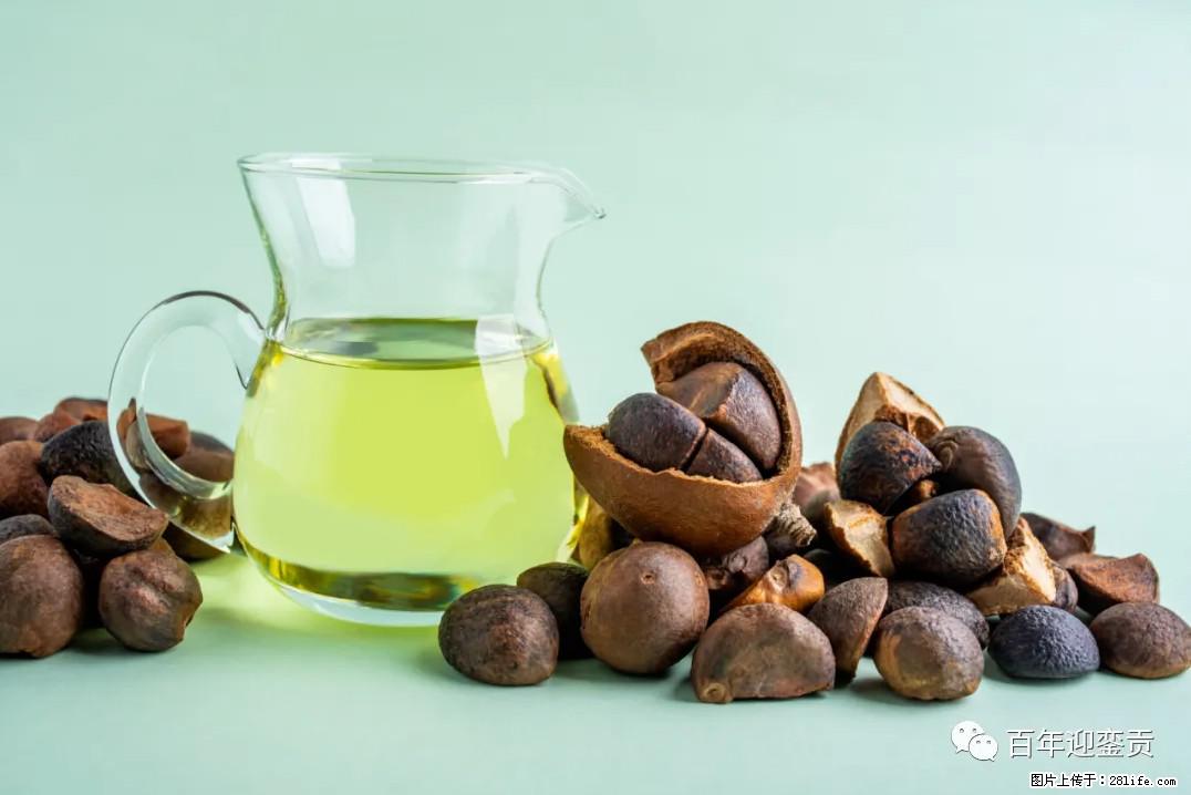 世界没有真相，只有认知，最好的食用油是中国的山茶油！ - 苏州生活资讯 - 苏州28生活网 su.28life.com