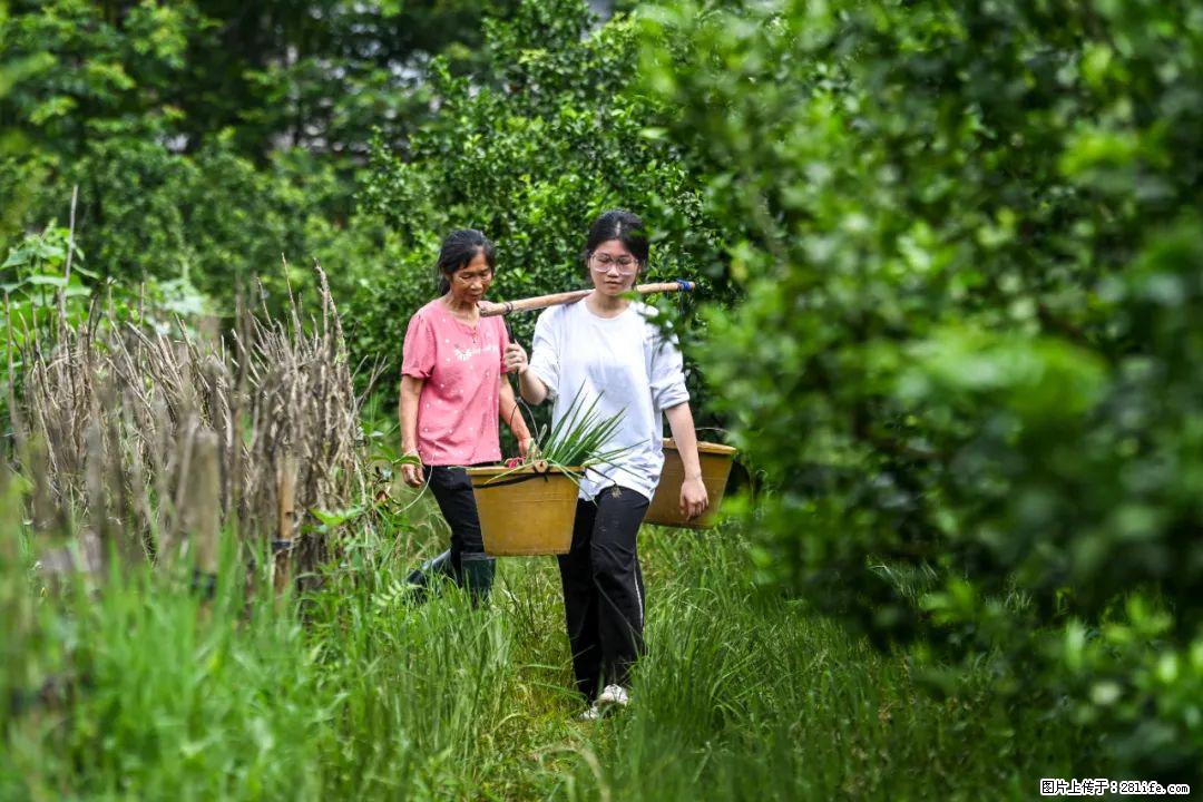 全网追的“扁担女孩”，找了一份暑假工，时薪12元 - 苏州生活资讯 - 苏州28生活网 su.28life.com