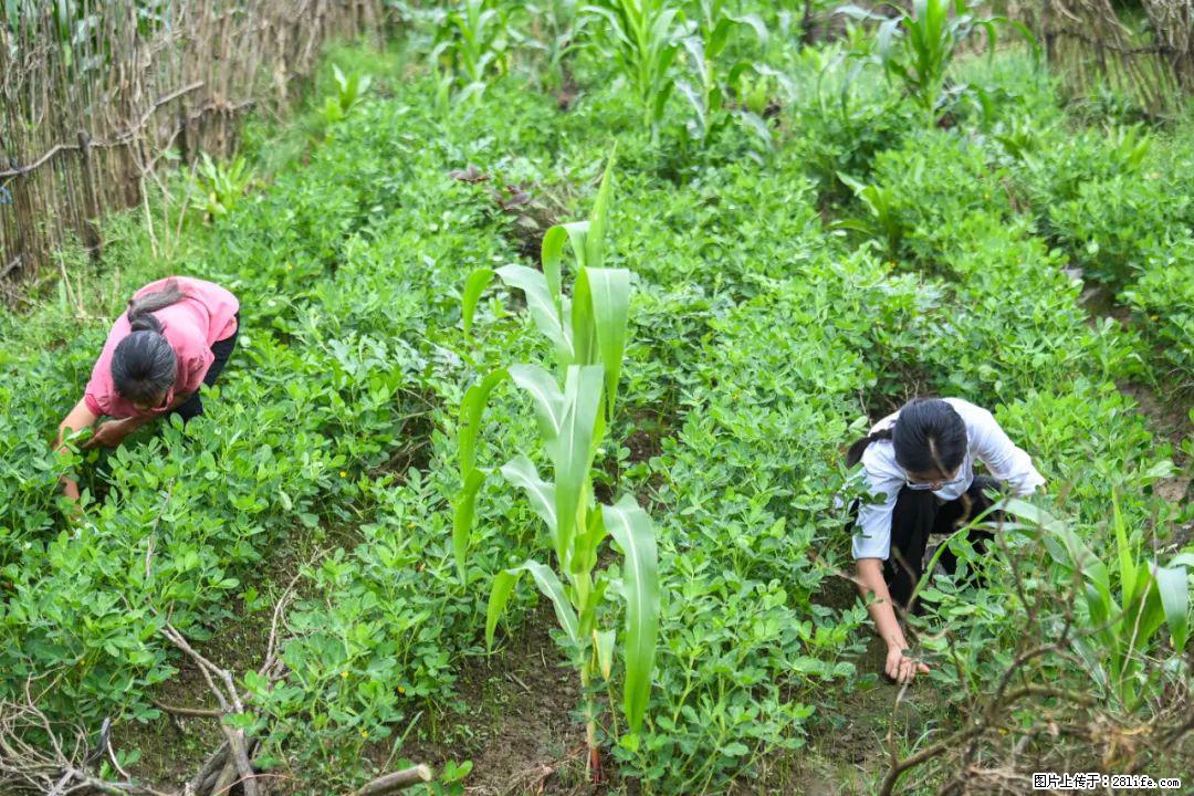 全网追的“扁担女孩”，找了一份暑假工，时薪12元 - 苏州生活资讯 - 苏州28生活网 su.28life.com