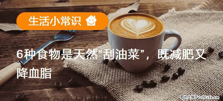 【生活小常识】6种食物是天然“刮油菜”,既减肥又降血脂 - 苏州生活资讯 - 苏州28生活网 su.28life.com