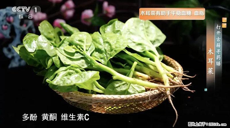 比牛奶补钙还厉害!凉血解毒、稳血糖...这菜冬天必吃,很多人却当草 - 苏州生活资讯 - 苏州28生活网 su.28life.com
