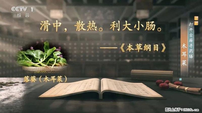 比牛奶补钙还厉害!凉血解毒、稳血糖...这菜冬天必吃,很多人却当草 - 苏州生活资讯 - 苏州28生活网 su.28life.com