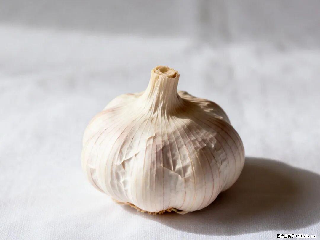 关于大蒜，除了“天然抗生素”，这4个谣言更该警惕! - 苏州生活资讯 - 苏州28生活网 su.28life.com