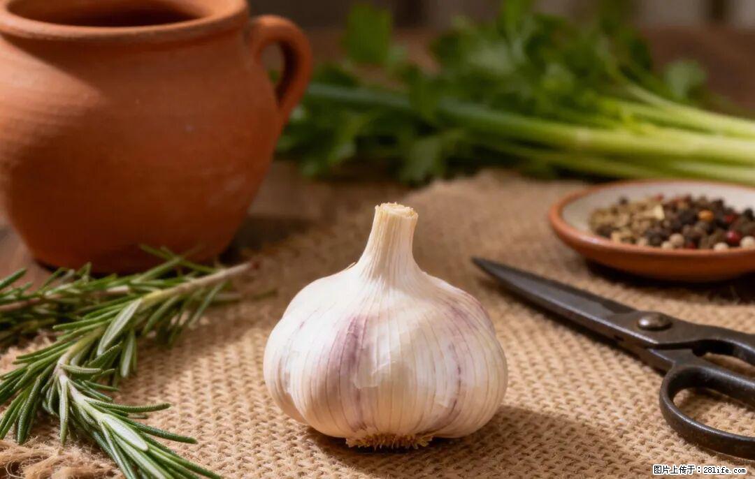 关于大蒜，除了“天然抗生素”，这4个谣言更该警惕! - 苏州生活资讯 - 苏州28生活网 su.28life.com