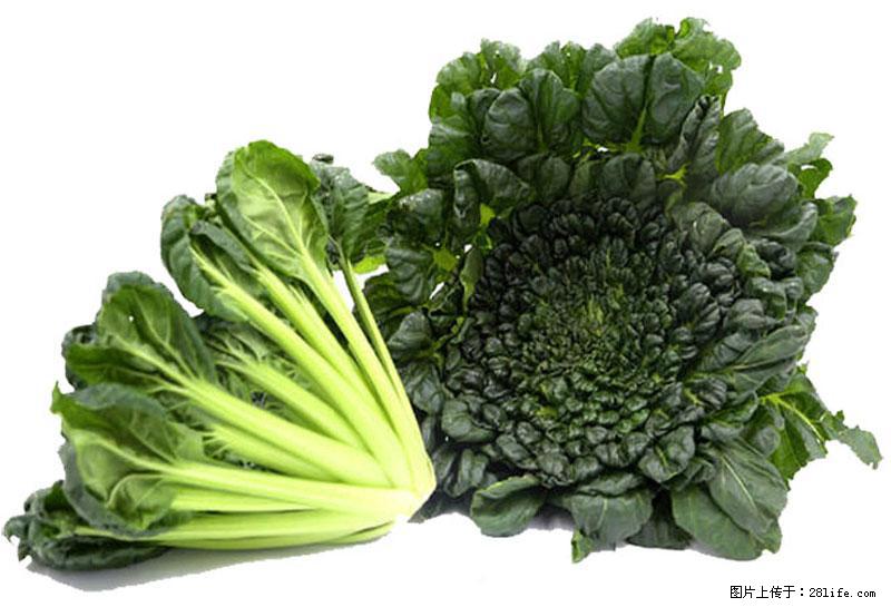 这些蔬菜是“天然钙片”，这6种被医生重点推荐 - 苏州生活资讯 - 苏州28生活网 su.28life.com