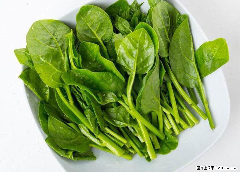 这些蔬菜是“天然钙片”，这6种被医生重点推荐 - 苏州生活资讯 - 苏州28生活网 su.28life.com