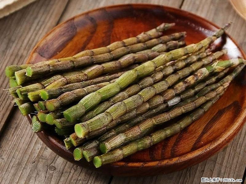 铁皮石斛的作用与功能主治 - 苏州生活资讯 - 苏州28生活网 su.28life.com