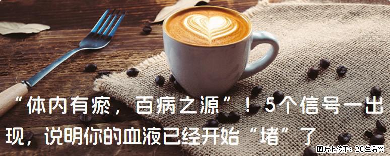 “体内有瘀,百病之源”!5个信号一出现,说明你的血液已经开始“堵”了 - 苏州生活资讯 - 苏州28生活网 su.28life.com