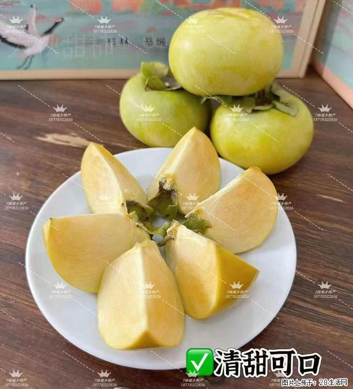 广西桂林平乐桥亭【红心猕猴桃】、【大秋甜柿】上市啦，欢迎各位新老客户下单（另有少量小果出售） - 苏州生活资讯 - 苏州28生活网 su.28life.com